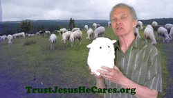 Parable Of The Lost Sheep
